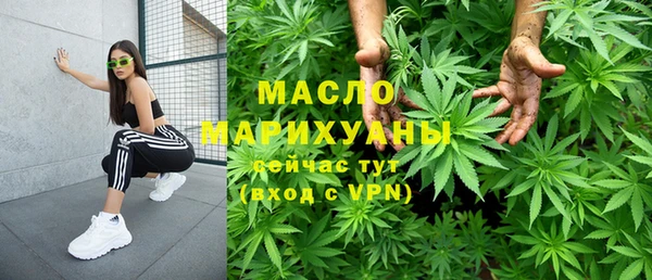 гидропоника Каменка