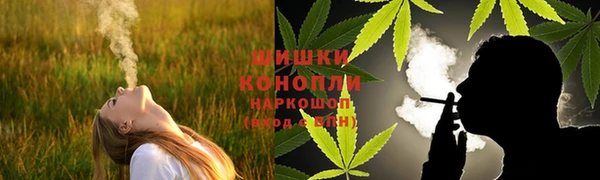 гидропоника Каменка