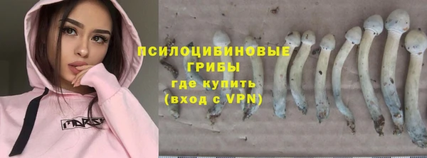 метадон Каменск-Шахтинский