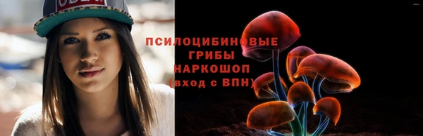 марки nbome Каменногорск