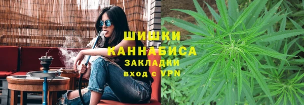 гидропоника Каменка