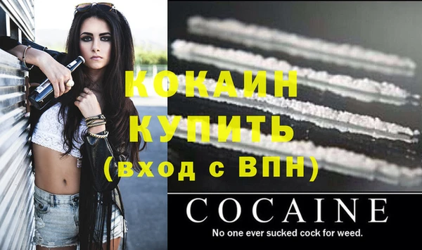 гидропоника Каменка