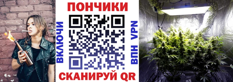 Купить где  Каменск-Уральский  Канабис планчик 